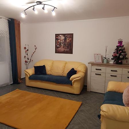 Апартаменты Central Lala Apartament Брашов Экстерьер фото